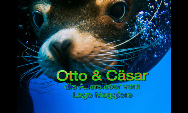 Die Ausreisser vom Lago Maggiore
